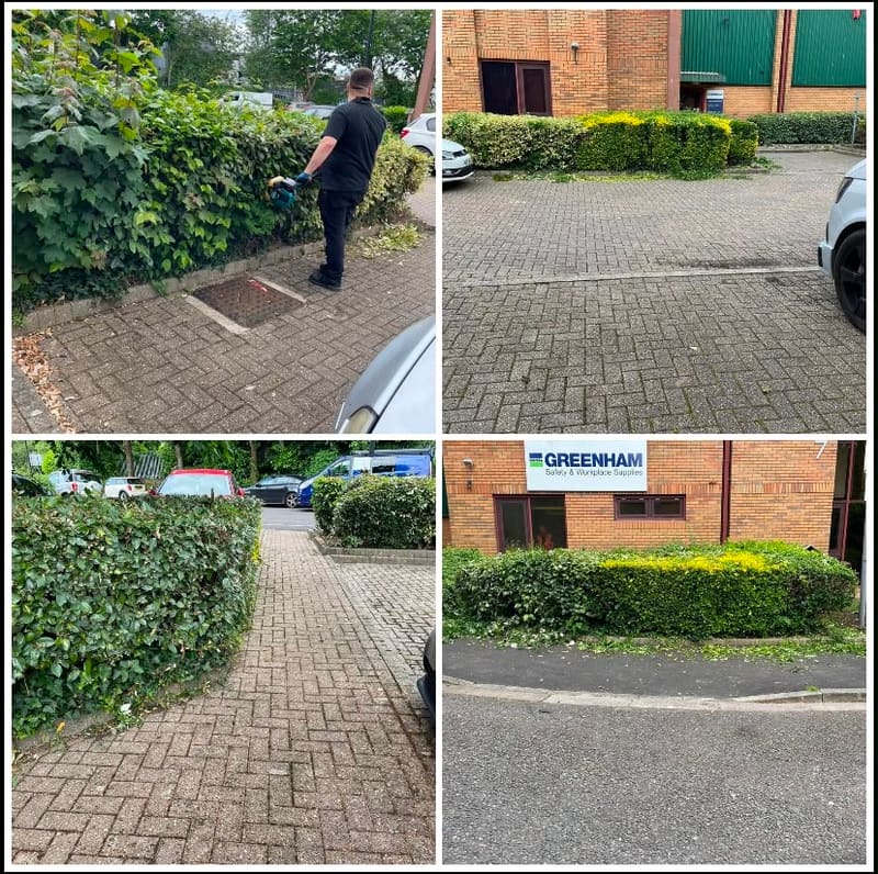 Aqua Pro Cleaning team trimming hedges at a commercial premises